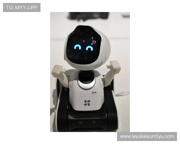 在KY体育app下载官网注册登录，享受丰富的体育娱乐内容和优质的用户体验